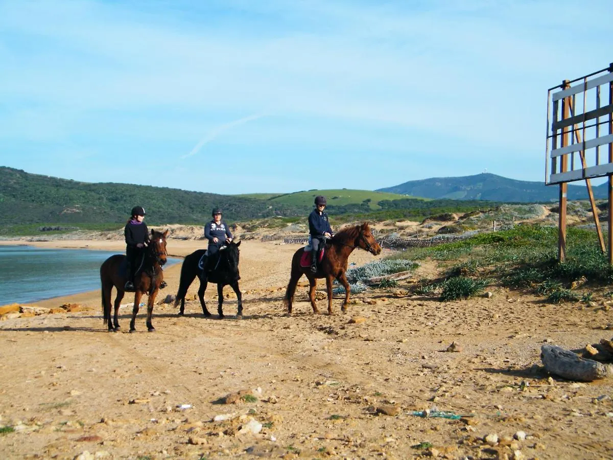 The Queen Locazione Turistica Villa Alghero 0*,